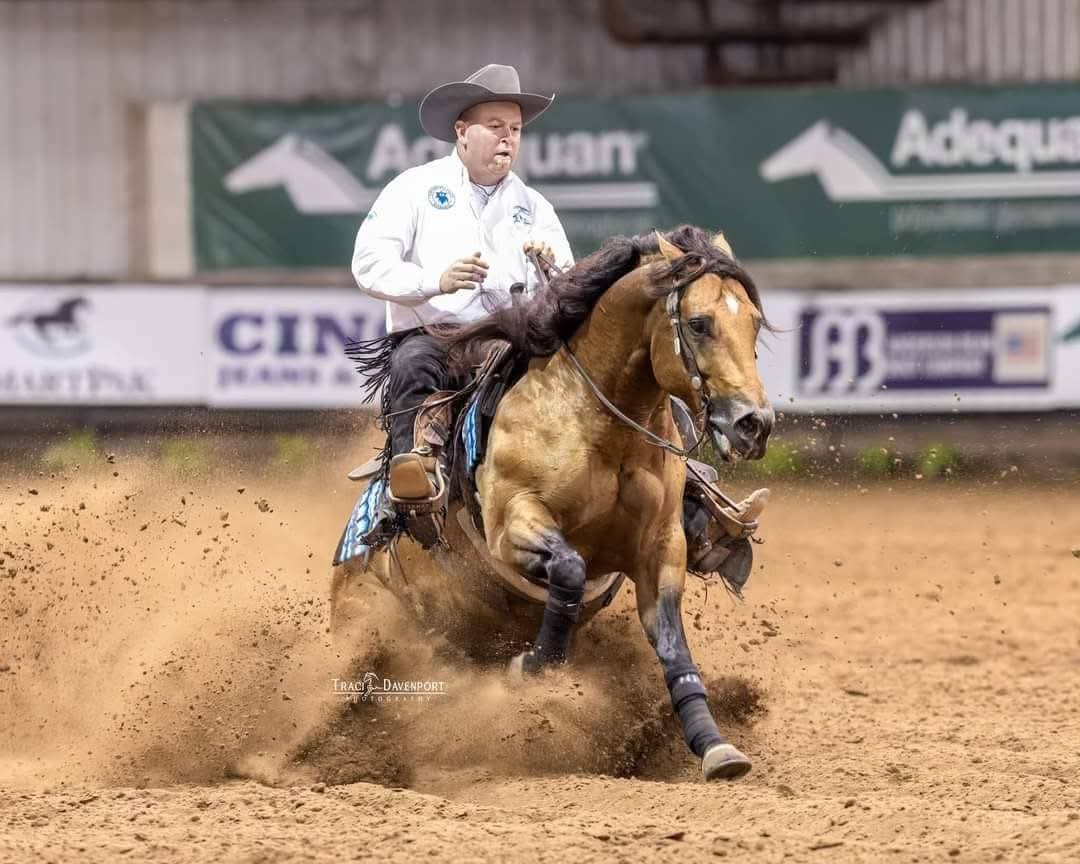 Sparkys Shining Doll, buckskin reining stallion by Friday Night Shiner out of a Star Chex Badger mare